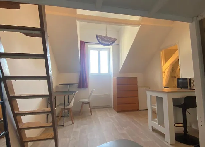 22m2 Neuf Centre De A 100m De La Cathedrale *